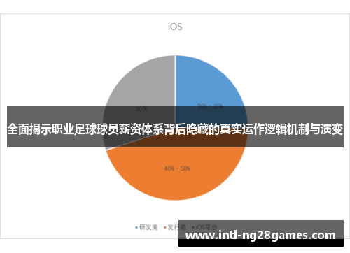 全面揭示职业足球球员薪资体系背后隐藏的真实运作逻辑机制与演变 全面揭示职业足球球员薪资体系背后隐藏的真实运作逻辑机制与演变